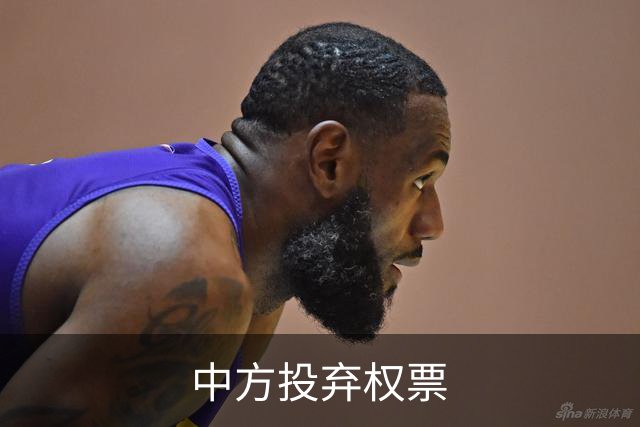 中方投弃权票