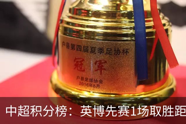 中超积分榜：英博先赛1场取胜距蓉城6分，铁人大胜领先降级区7分