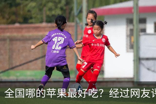 全国哪的苹果最好吃？经过网友评比，这6个榜上有名，有你家乡吗