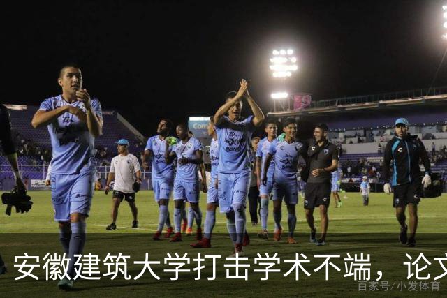 安徽建筑大学打击学术不端，论文倒查近七年，个人逐一复核，耿同学功不可没