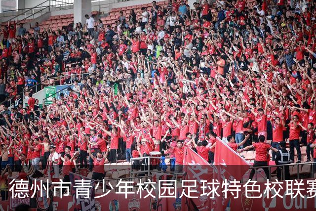 德州市青少年校园足球特色校联赛开赛