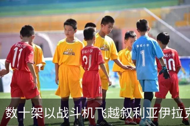 数十架以战斗机飞越叙利亚伊拉克领空，接近伊朗边境 以军情局前官员：极度疯狂危险