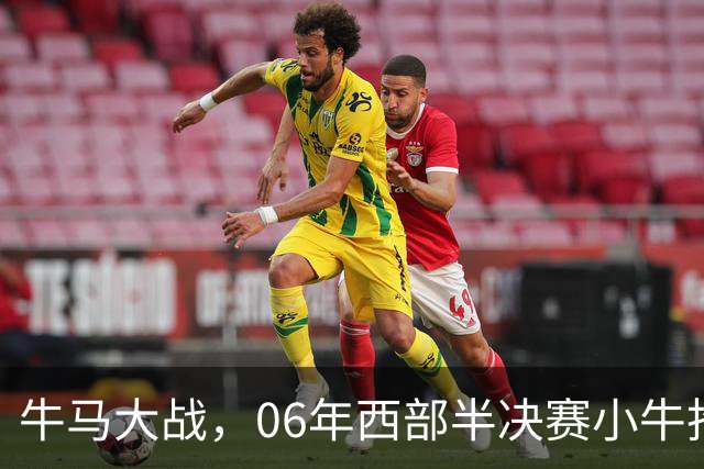 牛马大战，06年西部半决赛小牛抢七险胜马刺，邓肯场均32+12，诺维茨基什么数据？