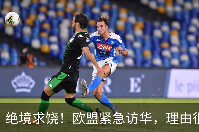 绝境求饶！欧盟紧急访华，理由很直接，阿斯麦再撑不住就要崩盘了