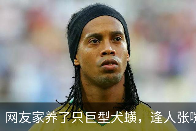 网友家养了只巨型犬蟥，逢人张嘴就开吸，主人无奈带去检查，发现竟是多年前的心太软…狗子：时间一长，地久天长，你的拔犬罐来了…