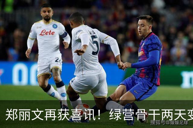 郑丽文再获喜讯！绿营骨干两天变蓝
