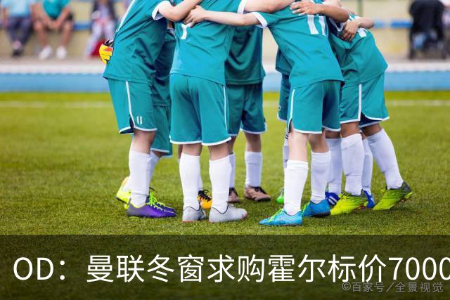OD：曼联冬窗求购霍尔标价7000万英镑，埃迪·豪或成关键