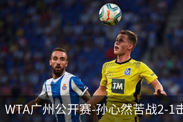 WTA广州公开赛-孙心然苦战2-1击败7号种子 首进巡回赛八强